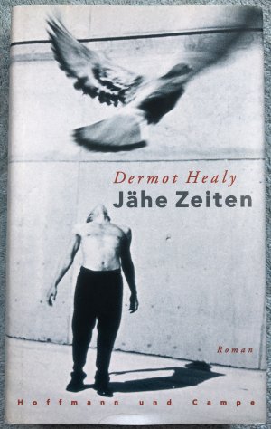 gebrauchtes Buch – Dermot Healy – Jähe Zeiten - Healy, Dermot