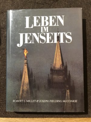 Leben im Jenseits