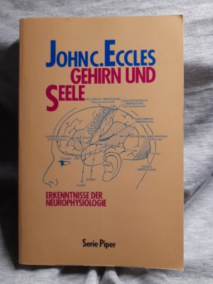 Gehirn und Seele