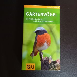 gebrauchtes Buch – Helga Hofmann – Gartenvögel - Die wichtigsten Arten entdecken und bestimmen