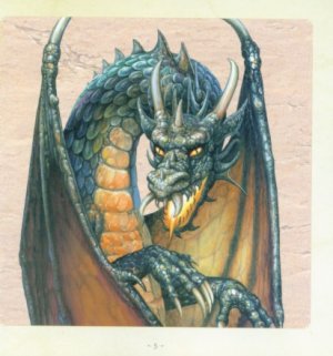 gebrauchtes Buch – Ciruelo Cabral – Dragons - Ciruelo