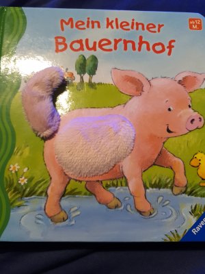 gebrauchtes Buch – Sandra Grimm – Mein erstes Fühlbuch: Mein kleiner Bauernhof