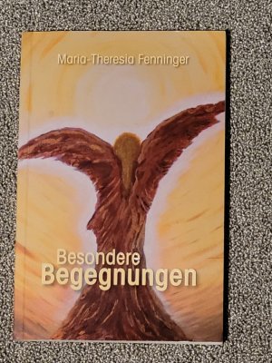 gebrauchtes Buch – Fenninger, Maria Theresia – Besondere Begegnungen