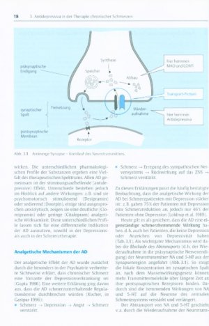 gebrauchtes Buch – Thomas Flöter – Der multimorbide Schmerzpatient