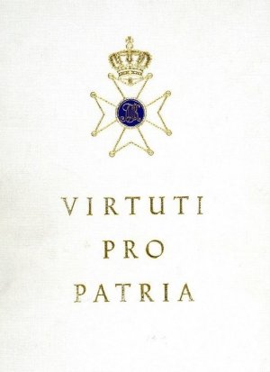 Virtuti pro Patria. Der königlich bayerische Militär-Max-Joseph-Orden. Kriegstaten und Ehrenbuch 1914 - 1918. Herausgeber: Der k.b. Militär-Max-Joseph […]