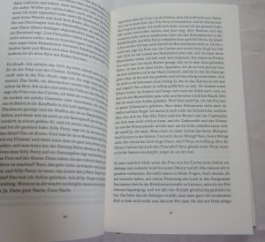 gebrauchtes Buch – Frank Witzel – Die Erfindung der Roten Armee Fraktion durch einen manisch-depressiven Teenager im Sommer 1969