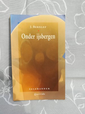 gebrauchtes Buch – J Bernlef – Onder ijsbergen