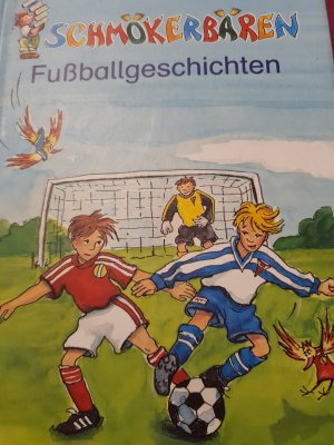 gebrauchtes Buch – Fussballgeschichten