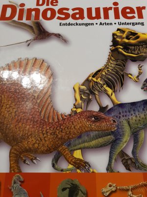 gebrauchtes Buch – Die Dinosaurier