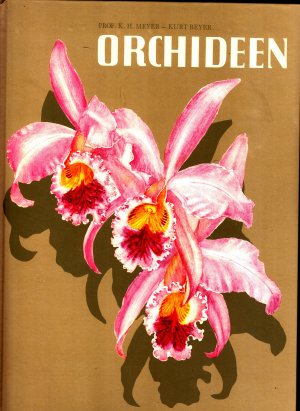 Orchideen in Wort und Bild