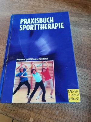 gebrauchtes Buch – Whybra-Döttelbeck, Natasha; Bergmann Späti, Dagmar – Praxisbuch Sporttherapie - Prävention - Rehabilitation - Freizeitsport