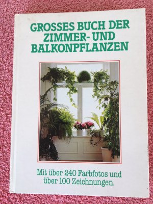 gebrauchtes Buch – Grosses Buch der Zimmer- und Balkonpflanzen