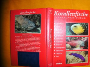 Korallenfische - Indischer Ozean