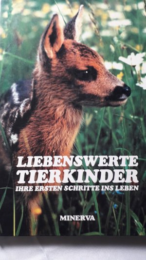 gebrauchtes Buch – Liebenswerte Tierkinder