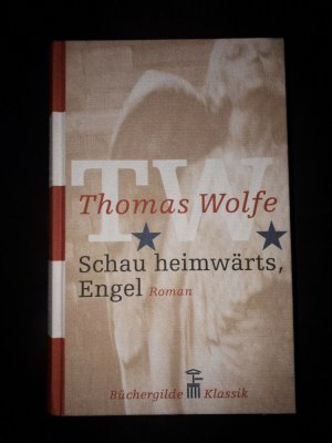 Schau heimwärts, Engel : Eine Geschichte vom begrabenen Leben / Aus dem amerikanischen Englisch übersetzt und umfassend kommentiert von Irma Wehrli