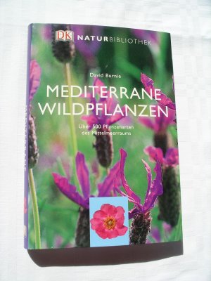 Mediterrane Wildpflanzen