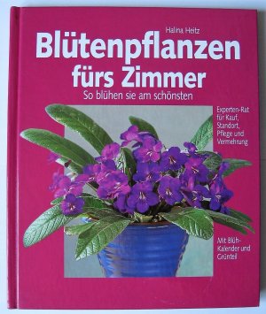 Blütenpflanzen fürs Zimmer