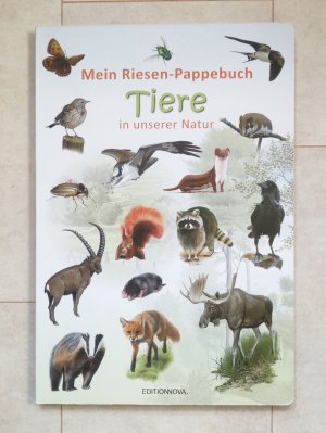 Mein Riesen-Pappebuch - Tiere in unserer Natur