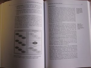 gebrauchtes Buch – David Chappell – .NET verstehen - Einführung und Analyse