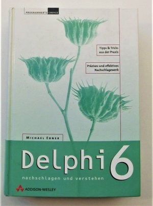 gebrauchtes Buch – Michael Ebner – Delphi nachschlagen und verstehen