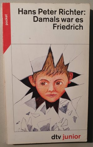 gebrauchtes Buch – Richter, Hans Peter – Damals war es Friedrich