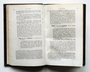 antiquarisches Buch – Gustav Henschel – Leitfaden zur Bestimmung der schädlichen Forst- und Obstbaum-Insekten. Nebst Angabe der Lebensweise, Vorbauung und Vertilgung. Für Forstleute, Ökonomen, Gärtner. 2. verm. u. verb. Aufl.