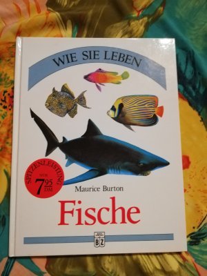 Fische. Wie sie Leben