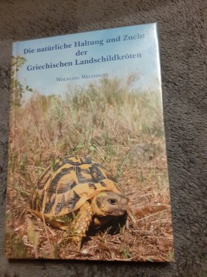 Die natürliche Haltung und Zucht der Griechischen Landschildkröten