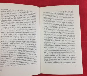gebrauchtes Buch – Janina David – Ein Stück Erde - Das Ende einer Kindheit
