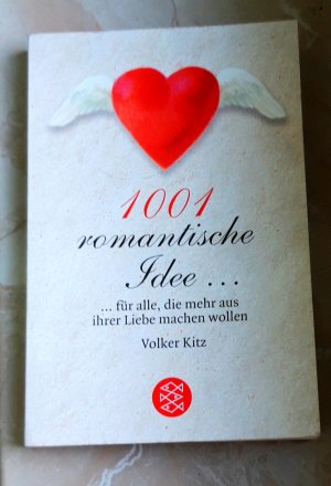 gebrauchtes Buch – Volker Kitz – 1001 romantische Idee...