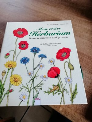 gebrauchtes Buch – Toll, Claudia; Sokolowski – Mein erstes Herbarium - Blumen pressen und Sammeln