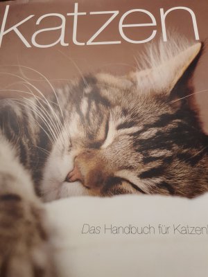 gebrauchtes Buch – Katzen