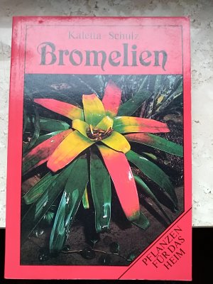 Bromelien