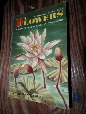 antiquarisches Buch – ZIM, HERBERT S – FLOWERS A Guide to Familiar American Wildflowers