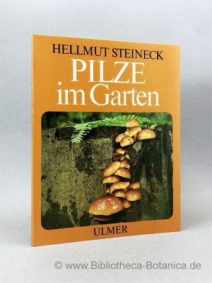 Pilze im Garten.