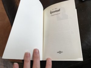 gebrauchtes Buch – Stine, R.L – Gänsehaut - Doppelschocker 6