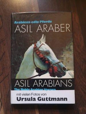 Asil Araber I (1977)