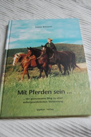 Mit Pferden sein... - Der gemeinsame Weg zu einer aussergewöhnlichen Verbindung