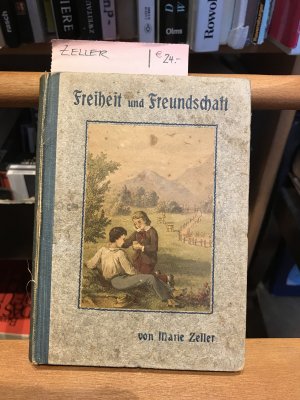 Freiheit und Freundschaft. Eine Erzählung für ältere Knaben