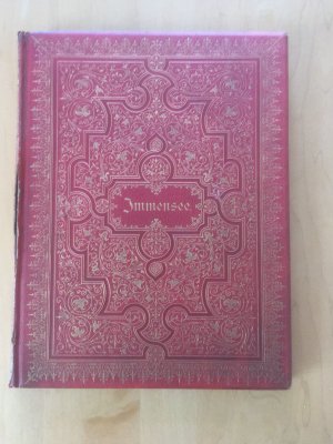 antiquarisches Buch – Theodor Storm – Immensee