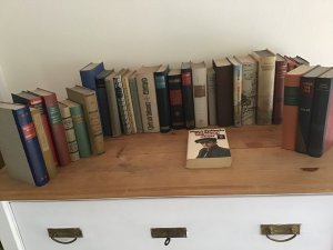 31 alte Bücher Sammlung Konvolut meist gebunden