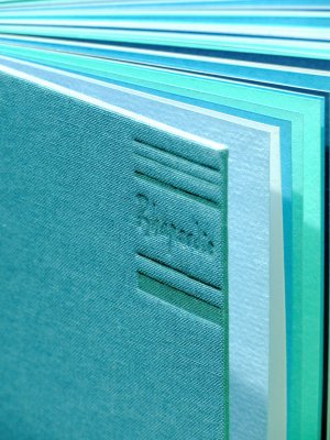 gebrauchtes Buch – avo-kado – Rhapsodie in Blau (18x9 cm)