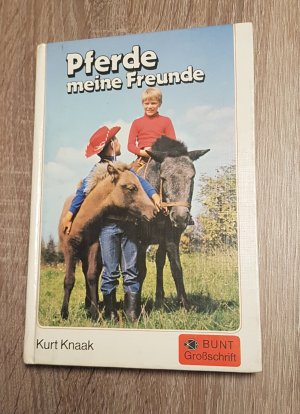 Pferde meine Freunde