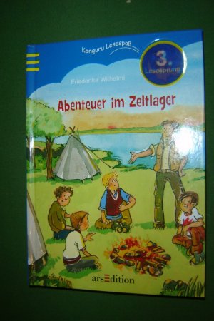 gebrauchtes Buch – Friederike Wilhelmi – Abenteuer im Zeltlager