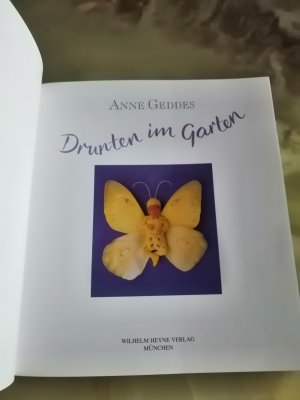 gebrauchtes Buch – Anne Geddes – Drunten im Garten