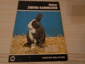 Deine Zwerg-Kaninchen