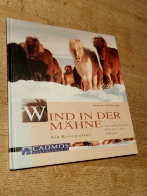 gebrauchtes Buch – Angelika Schmelzer – Wind in der Mähne