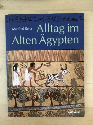 gebrauchtes Buch – Manfred Reitz – Alltag im Alten Ägypten