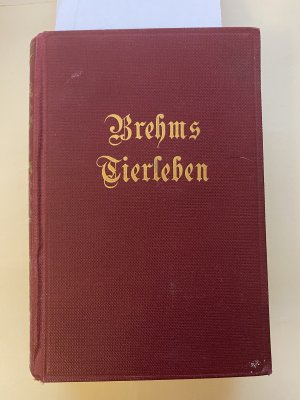 antiquarisches Buch – Otto Evers  – Brehms Tierleben. Nach der zweiten Originalausgabe bearbeitet von Otto Evers. 24 Bände mit etwa 300 Bildern. >>HIER: XI u. XII Band: Wiederkäuer (11.), Schweine + Einhufer (12.)