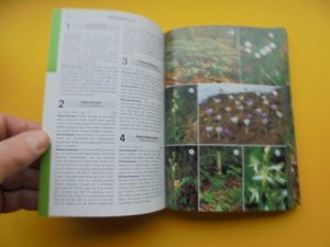 gebrauchtes Buch – Wilfried Stichmann - Ursula Stichmann-Marny – Der neue Kosmos-Pflanzenführer    -    über 1.300  Farbfotos